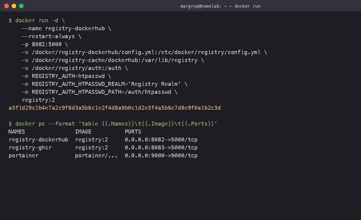 The actual docker run command, annotated