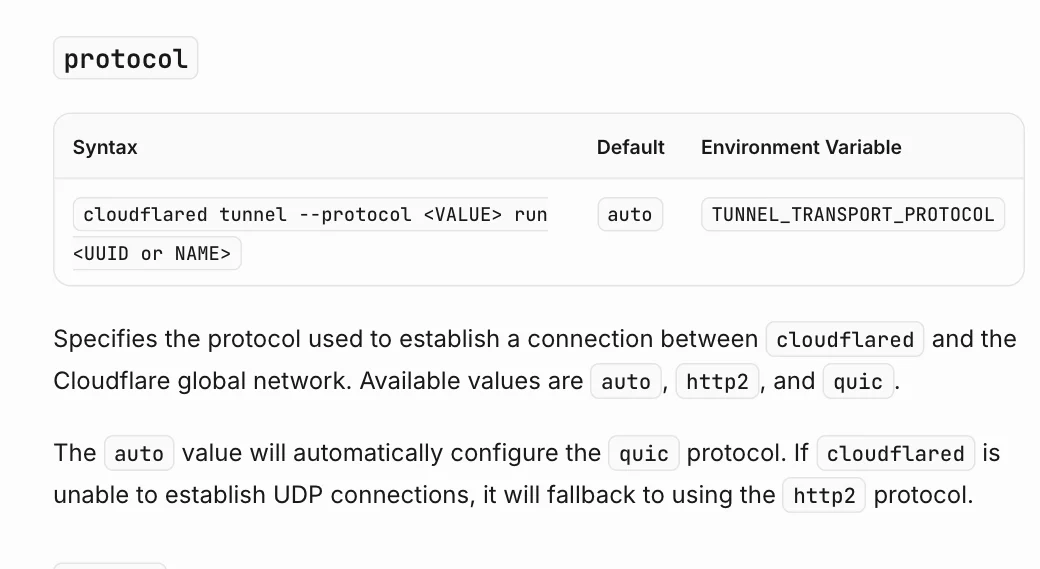 真实截图：Cloudflare 官方文档中 protocol 参数的说明