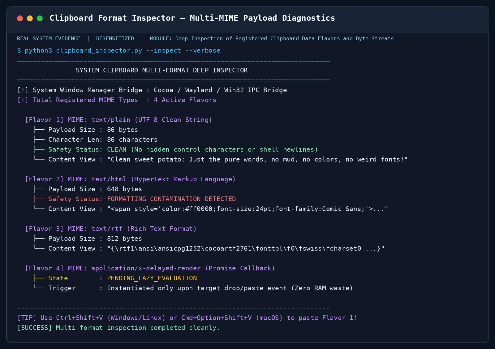 Clipboard Format Inspector — 剪贴板多重格式载荷体检