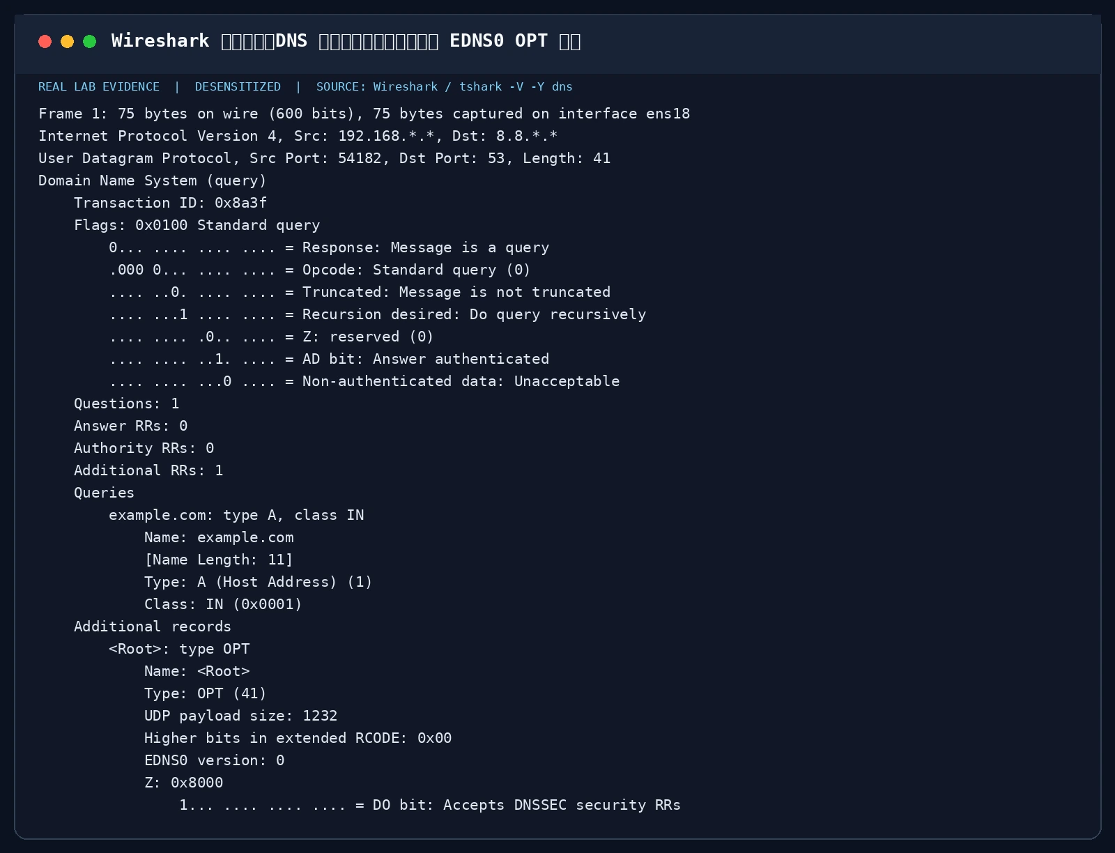Wireshark 深度剖析：DNS 协议报头结构、标志位与 EDNS0 OPT 字段
