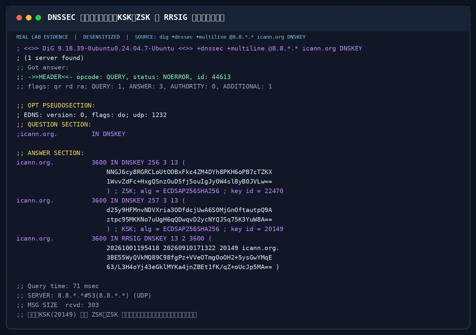 DNSSEC 数字信任链实测：KSK、ZSK 与 RRSIG 密码学签名验证