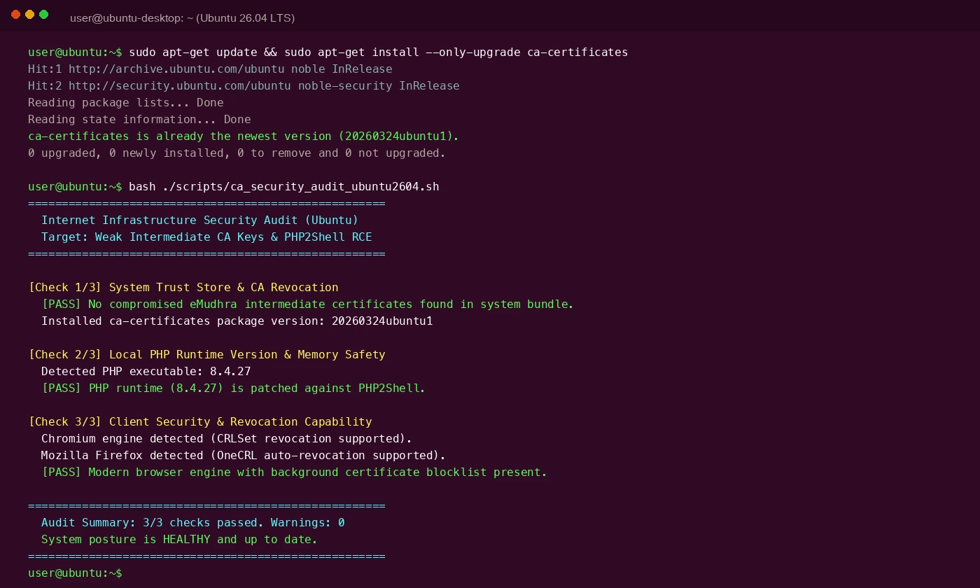 Ubuntu 26.04 终端一键检测脚本运行实况