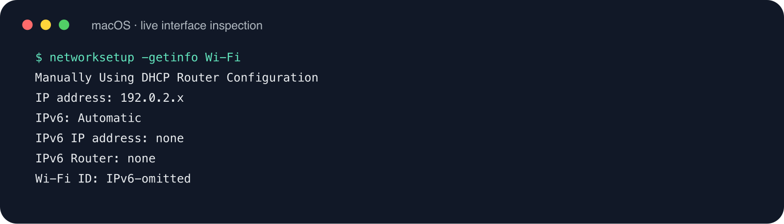 macOS 终端检查记录