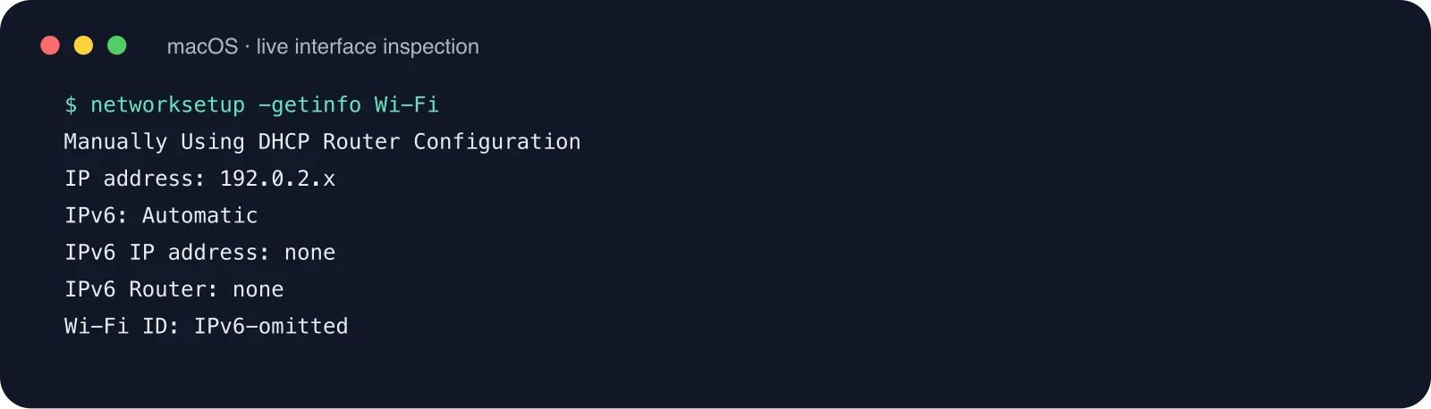 macOS 终端检查记录