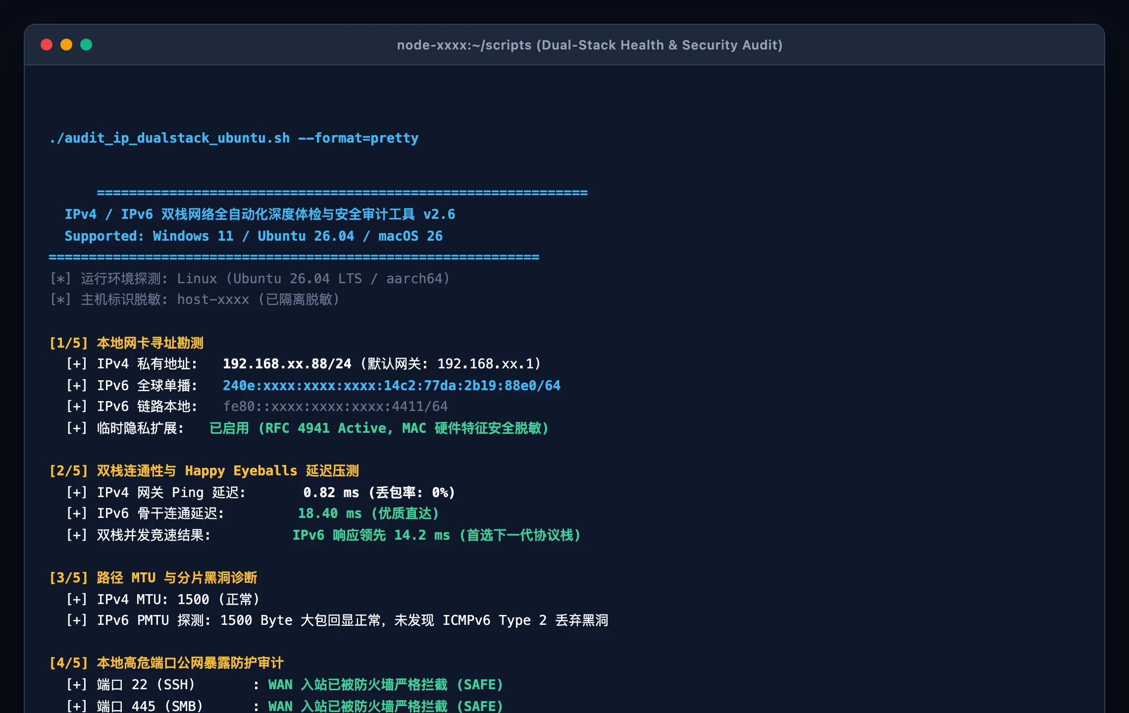 双栈网络全自动审计工具运行截图