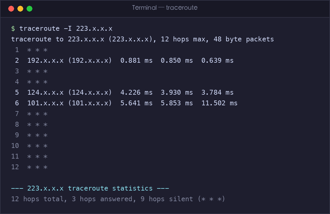 真实截图:traceroute 显示数据包经过的每一跳