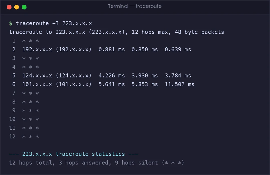 真实截图：traceroute 显示数据包经过的每一跳