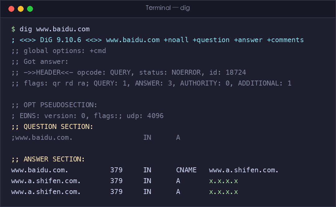 真实截图:dig 查询 DNS 解析过程