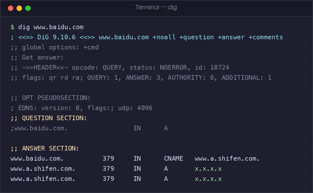 真实截图：dig 查询 DNS 解析过程