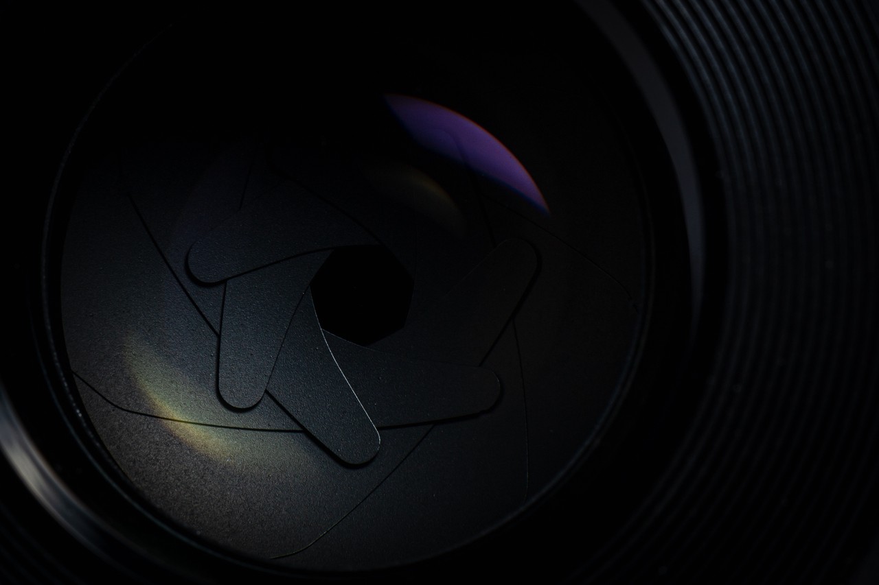 这张是官方 PhotoPrism 的真实截图，作为修复成功的视觉对照