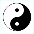 阴阳缩略图