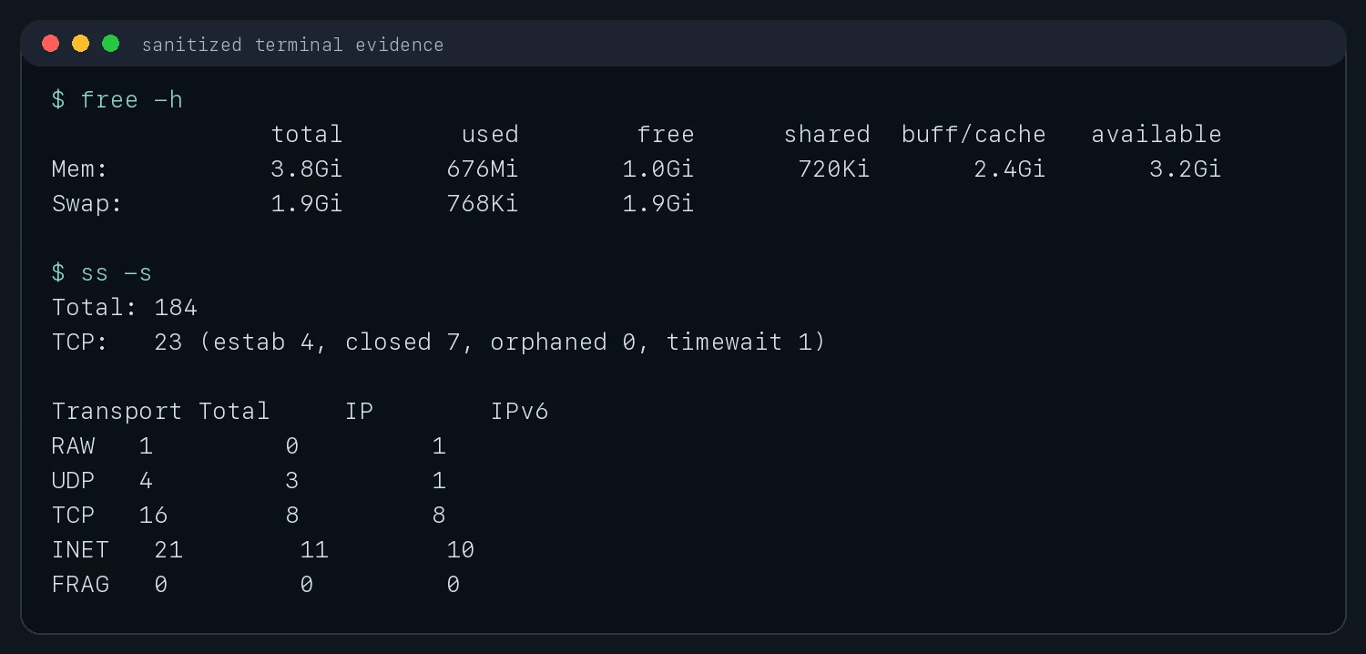 Ubuntu 主机上真实的内存与 socket 汇总输出