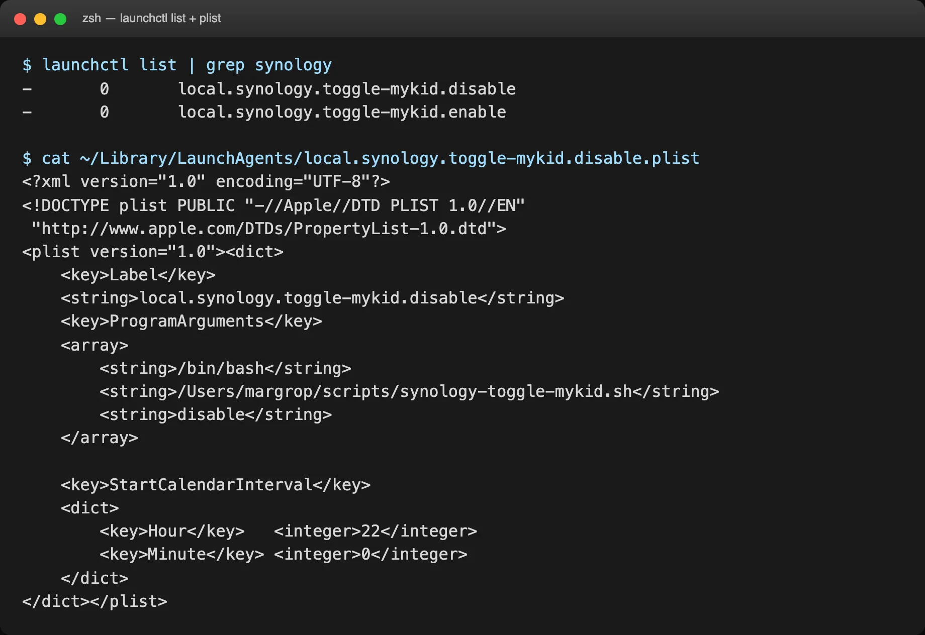 launchctl list output and plist content (redacted)