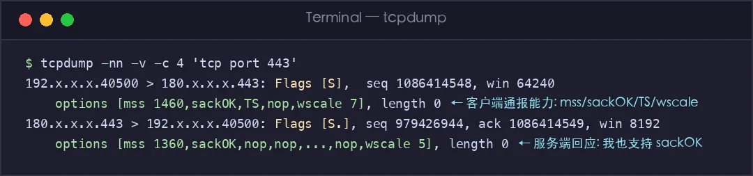 真实截图：TCP 握手时的选项协商