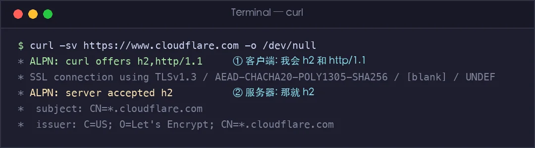 真实截图：ALPN 协议协商过程