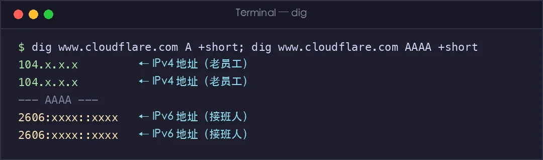 真实截图：同一域名的 IPv4 与 IPv6 双栈解析