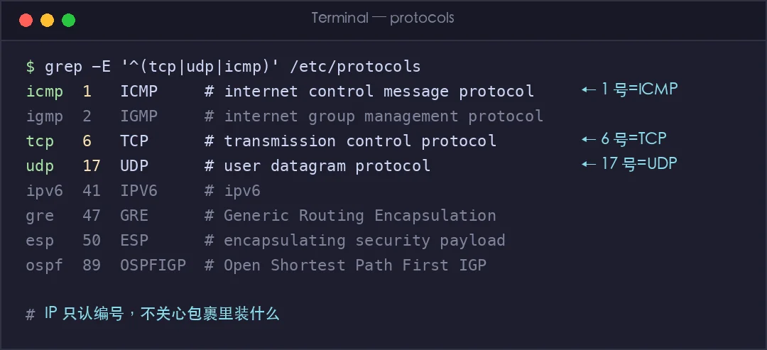 真实截图：/etc/protocols 中的 IP 协议号
