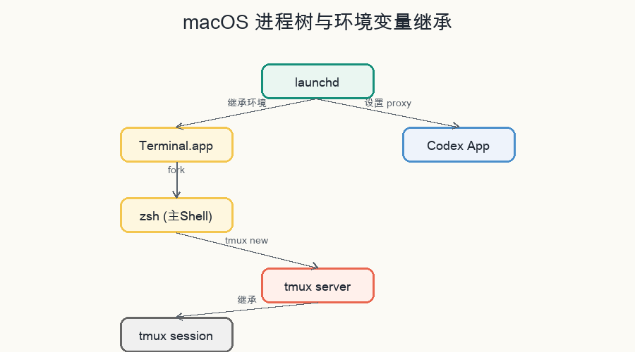 进程树与环境变量继承