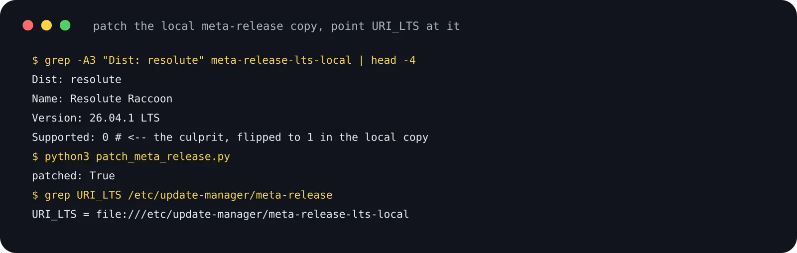Patching the local meta-release copy