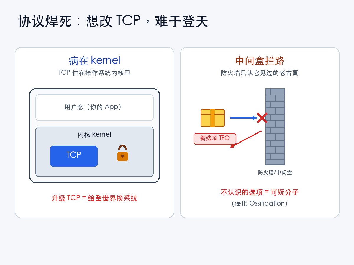 TCP 被焊死:内核住着 + 中间盒把门