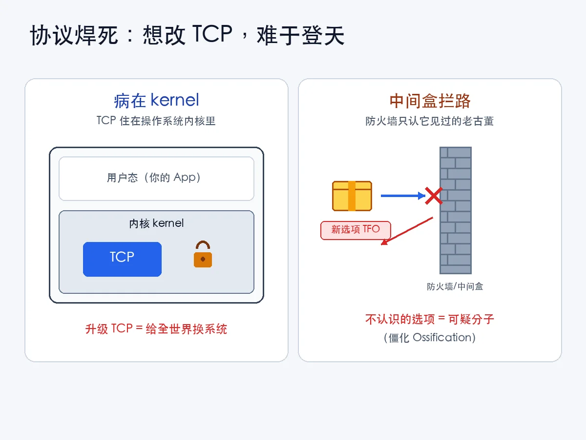 TCP 被焊死：内核住着 + 中间盒把门