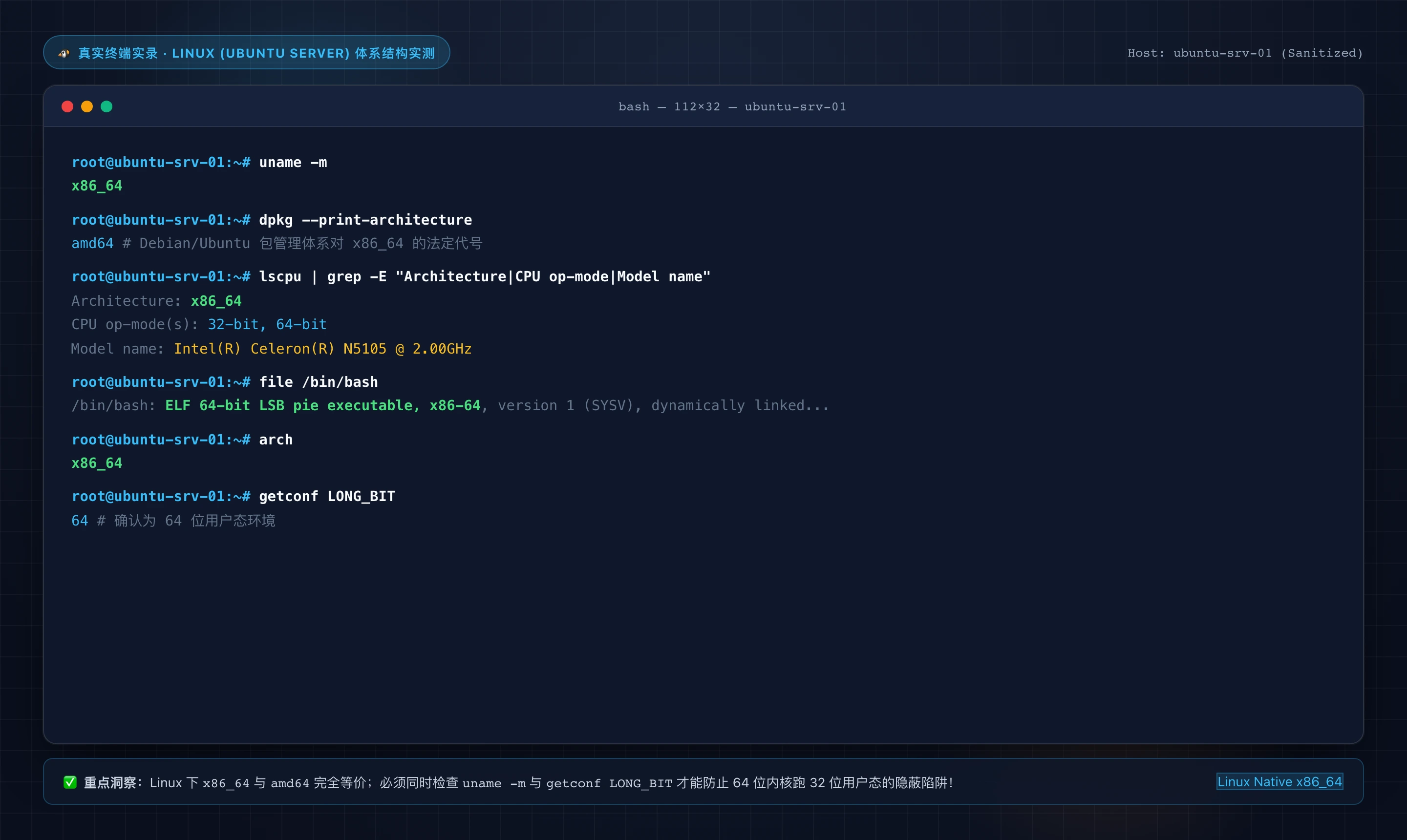 Linux 终端真实架构识别实操